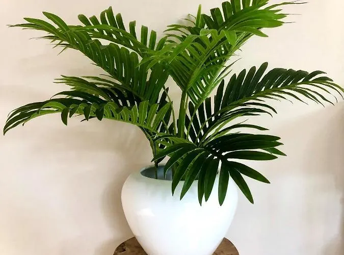 Appartement Gardenhouse 'the Block' - - Private Garden - Ir - Ac *