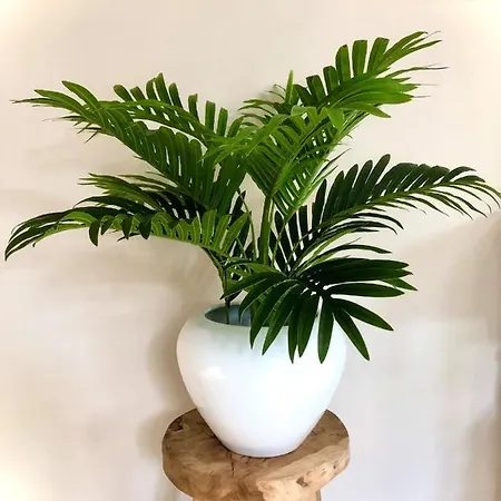 公寓 Gardenhouse 'the Block' - - Private Garden - Ir - Ac *